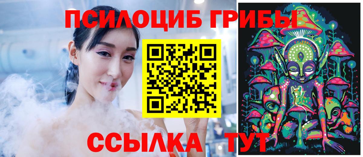 Артём  Галлюциногенные грибы мицелий  Вход с VPN  наркотики  Псилоцибиновые грибы Psilocybine cubensis 
